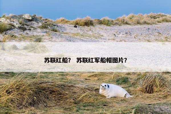 苏联红船？ 苏联红军船帽图片？