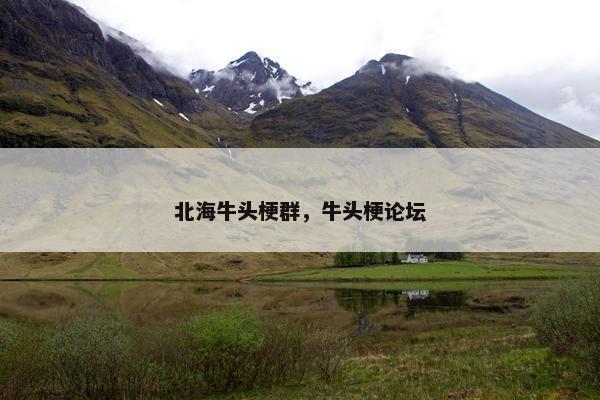 北海牛头梗群，牛头梗论坛