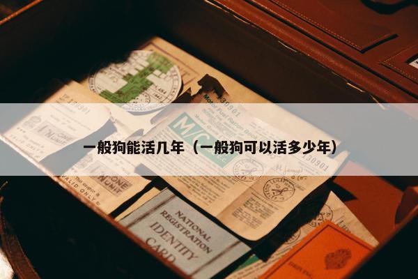 一般狗能活几年（一般狗可以活多少年）