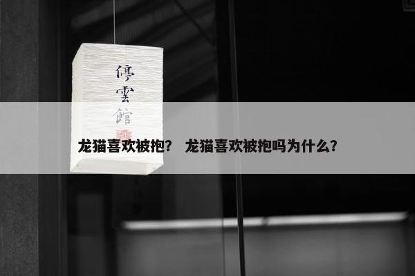 龙猫喜欢被抱？ 龙猫喜欢被抱吗为什么？