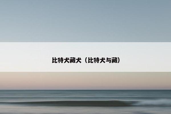 比特犬藏犬（比特犬与藏）