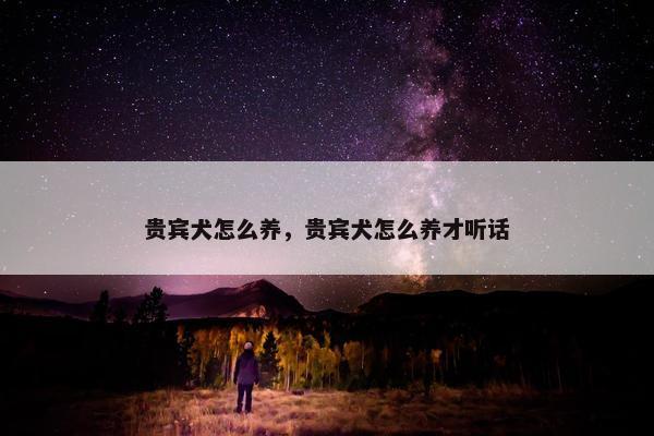 贵宾犬怎么养，贵宾犬怎么养才听话