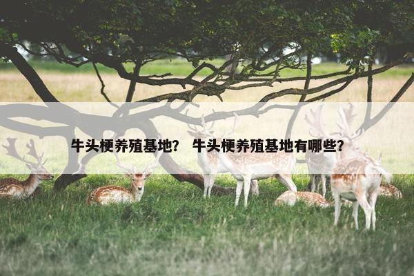 牛头梗养殖基地？ 牛头梗养殖基地有哪些？