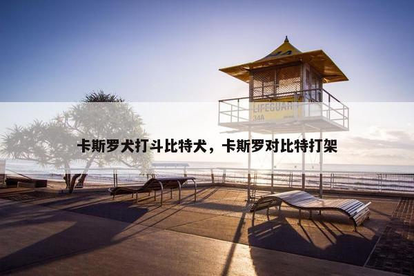 卡斯罗犬打斗比特犬，卡斯罗对比特打架