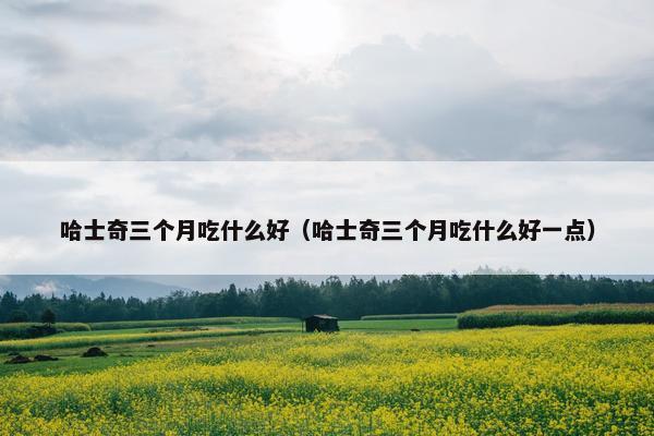 哈士奇三个月吃什么好（哈士奇三个月吃什么好一点）