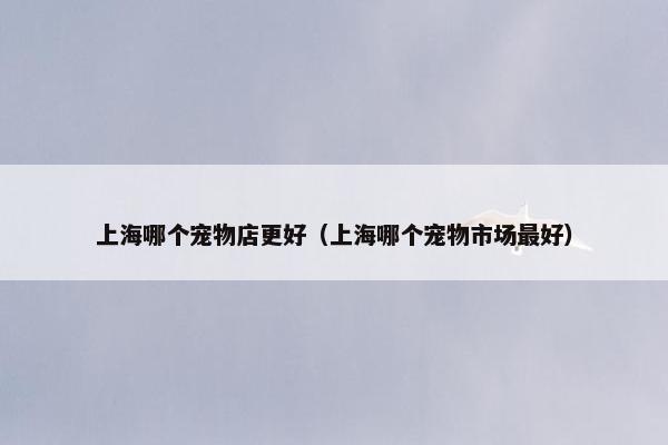 提供