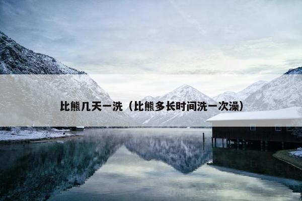 比熊几天一洗（比熊多长时间洗一次澡）