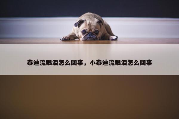 泰迪流眼泪怎么回事，小泰迪流眼泪怎么回事