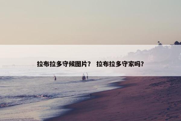 拉布拉多守候图片？ 拉布拉多守家吗？