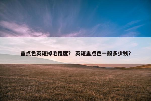 重点色英短掉毛程度？ 英短重点色一般多少钱？