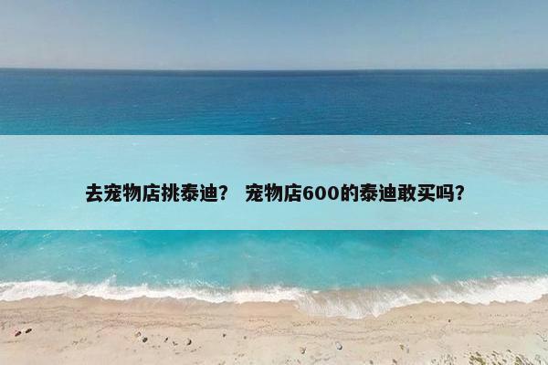 去宠物店挑泰迪？ 宠物店600的泰迪敢买吗？