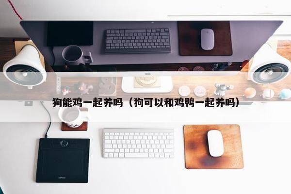 狗能鸡一起养吗（狗可以和鸡鸭一起养吗）