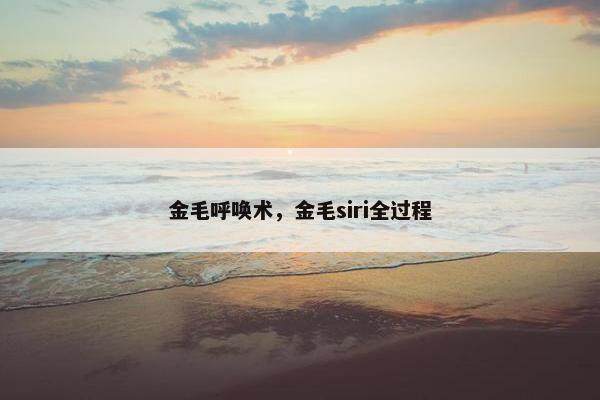 金毛呼唤术，金毛siri全过程