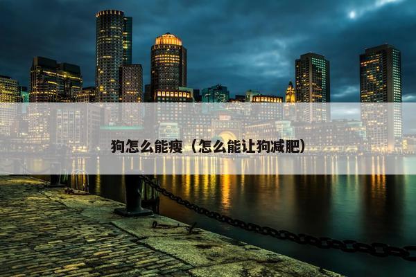 狗怎么能瘦（怎么能让狗减肥）