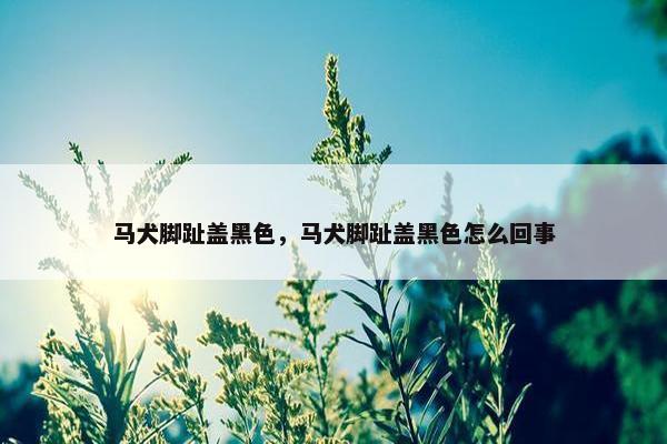 马犬脚趾盖黑色，马犬脚趾盖黑色怎么回事