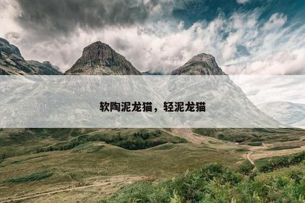 软陶泥龙猫，轻泥龙猫