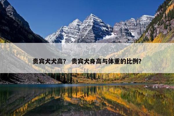 贵宾犬犬高？ 贵宾犬身高与体重的比例？
