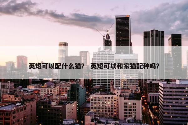 英短可以配什么猫？ 英短可以和家猫配种吗？