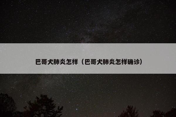 巴哥犬肺炎怎样（巴哥犬肺炎怎样确诊）