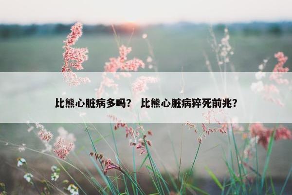 比熊心脏病多吗？ 比熊心脏病猝死前兆？