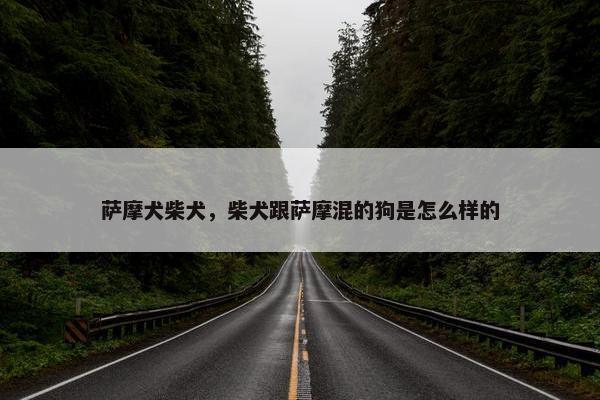 萨摩犬柴犬，柴犬跟萨摩混的狗是怎么样的