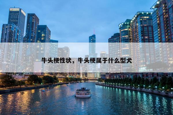 牛头梗性状，牛头梗属于什么型犬