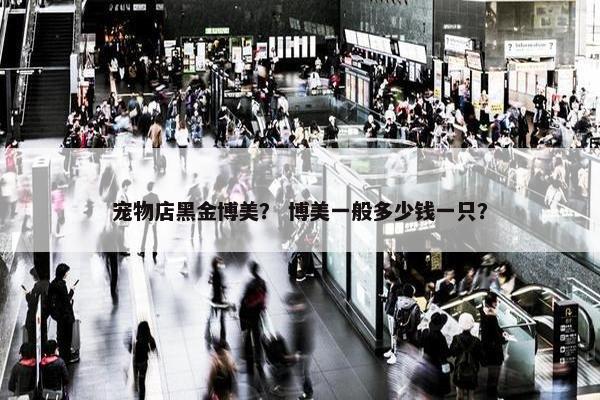 宠物店黑金博美？ 博美一般多少钱一只？