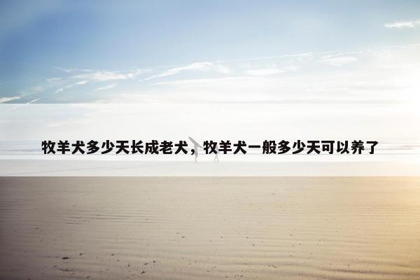 经典