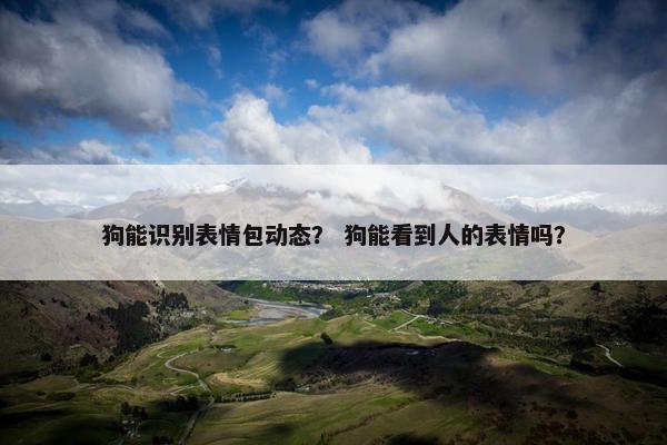 狗能识别表情包动态？ 狗能看到人的表情吗？