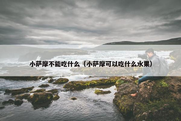萨摩 第19页