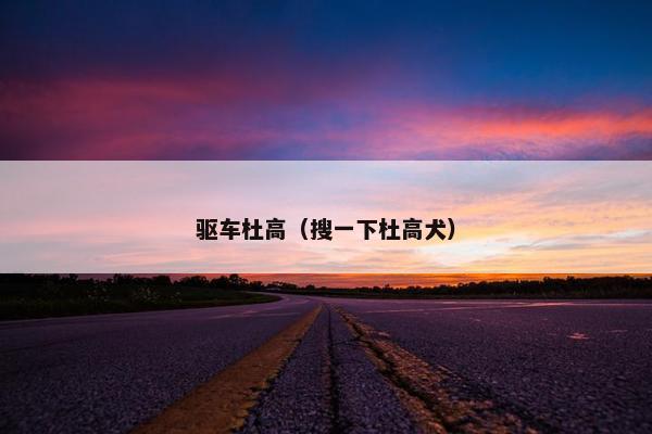 赏花