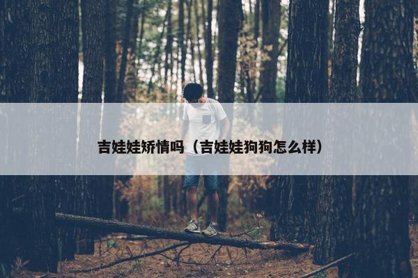 吉娃娃矫情吗（吉娃娃狗狗怎么样）