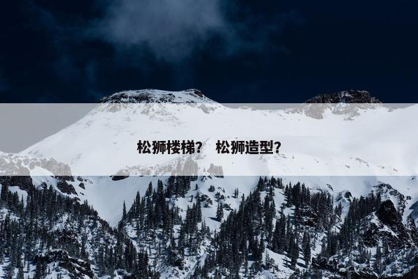 松狮楼梯？ 松狮造型？