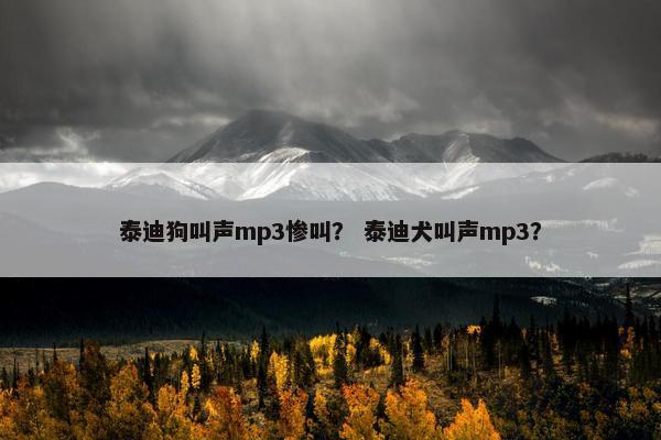 泰迪狗叫声mp3惨叫？ 泰迪犬叫声mp3？