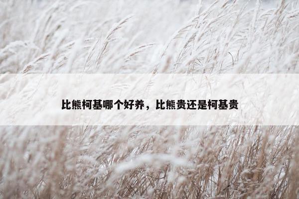 比熊柯基哪个好养，比熊贵还是柯基贵