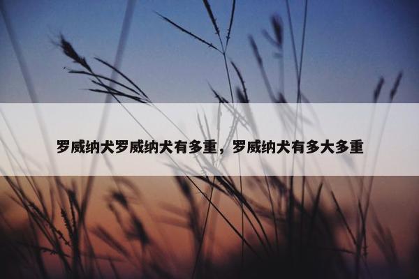 罗威纳 第29页
