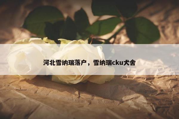 河北雪纳瑞落户，雪纳瑞cku犬舍