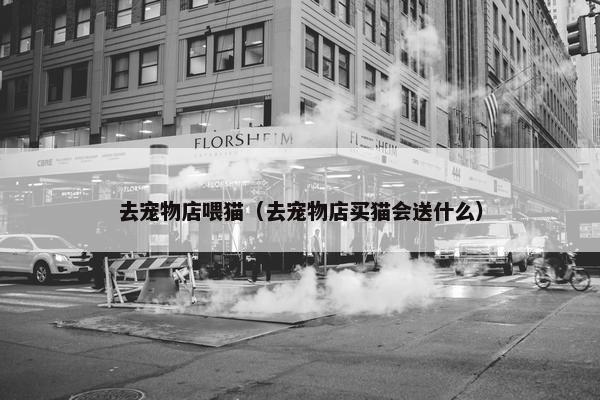 去宠物店喂猫（去宠物店买猫会送什么）