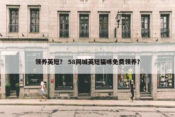 英短 第20页