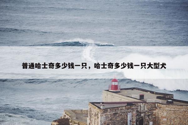普通哈士奇多少钱一只，哈士奇多少钱一只大型犬