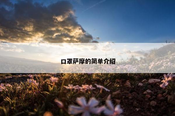 口罩萨摩的简单介绍
