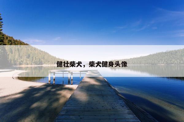 健壮柴犬，柴犬健身头像