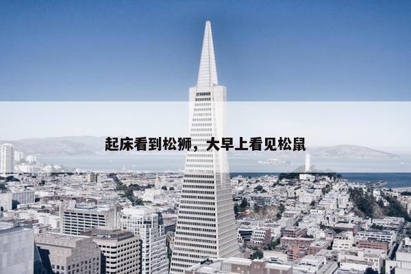 起床看到松狮，大早上看见松鼠