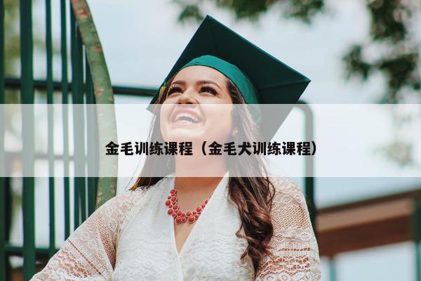 金毛训练课程（金毛犬训练课程）