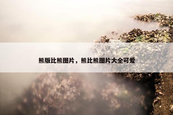 熊版比熊图片，熊比熊图片大全可爱