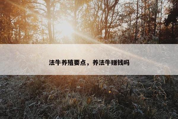 法牛养殖要点，养法牛赚钱吗