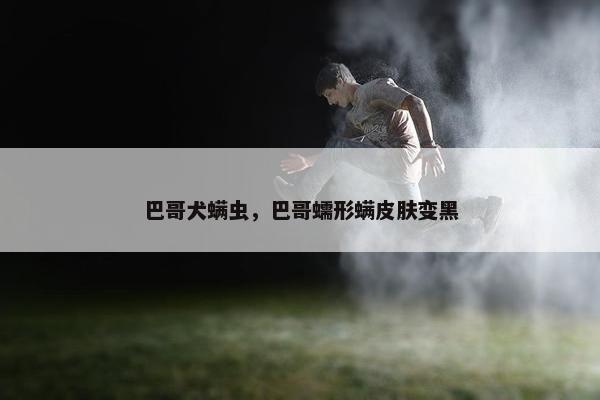 巴哥犬螨虫，巴哥蠕形螨皮肤变黑