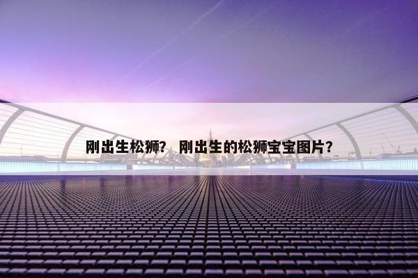 松狮 第27页