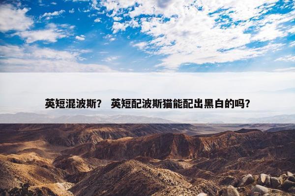 塞尔