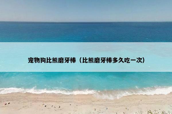 宠物狗比熊磨牙棒（比熊磨牙棒多久吃一次）